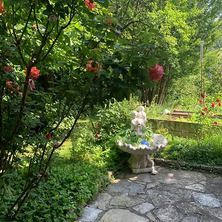 アパート Bio Pichler