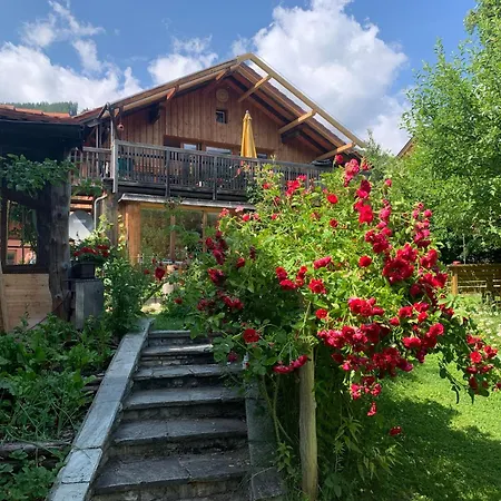 Bio Appartement Pichler Apartment Schladming