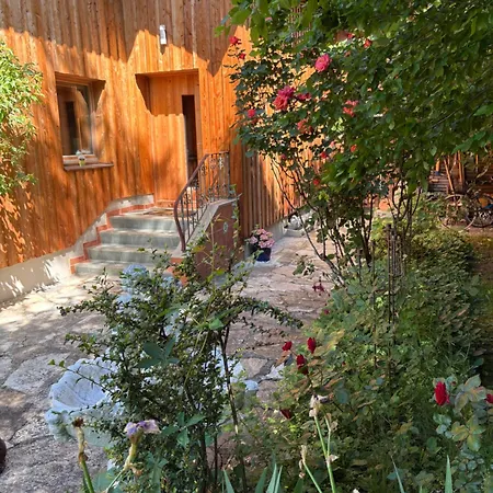 Bio Pichler Apartamento Schladming