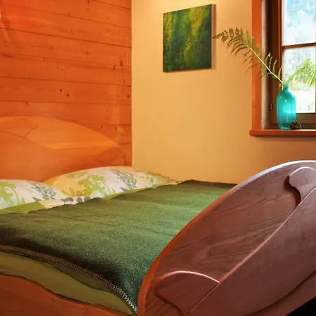 Bio Appartement Pichler Apartment Schladming