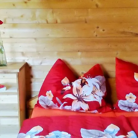Bio Appartement Pichler * Schladming